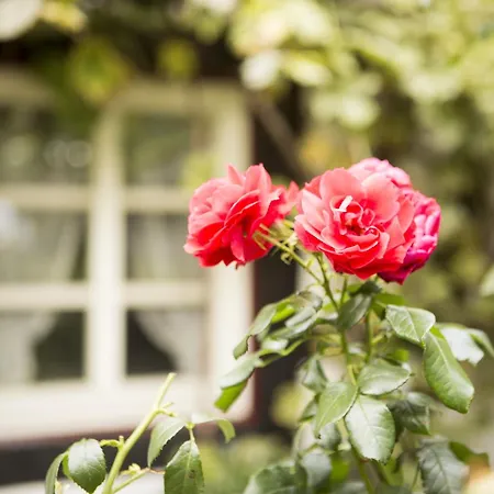 Cafe Am Stift 2* Hessisch Oldendorf