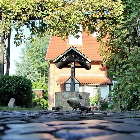 施蒂夫咖啡厅酒店 酒店 2*