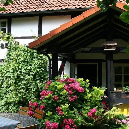 Ξενοδοχείο Cafe Am Stift 2*