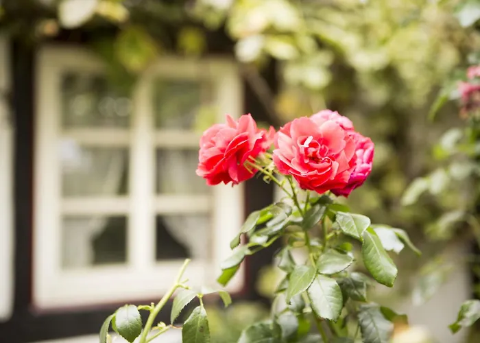 Cafe Am Stift 2* Hessisch Oldendorf